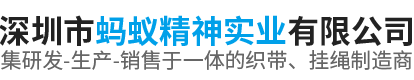 深圳市螞蟻精神實業有限公司